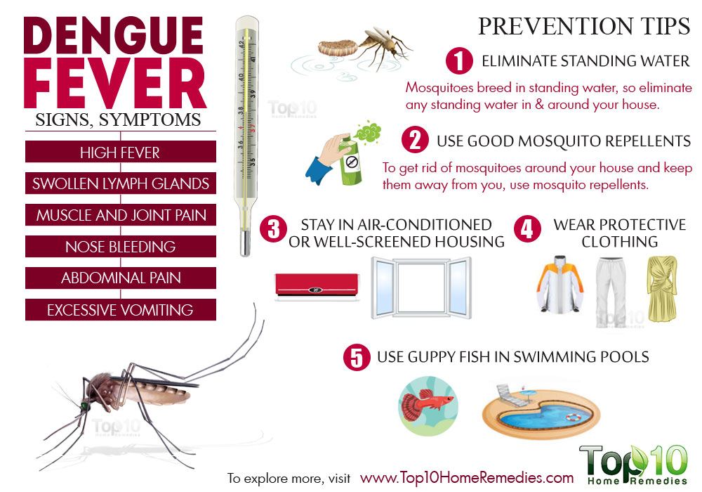 Dengue Fever: Signs, Symptoms and Prevention Tips | Top 10 Home Remedies