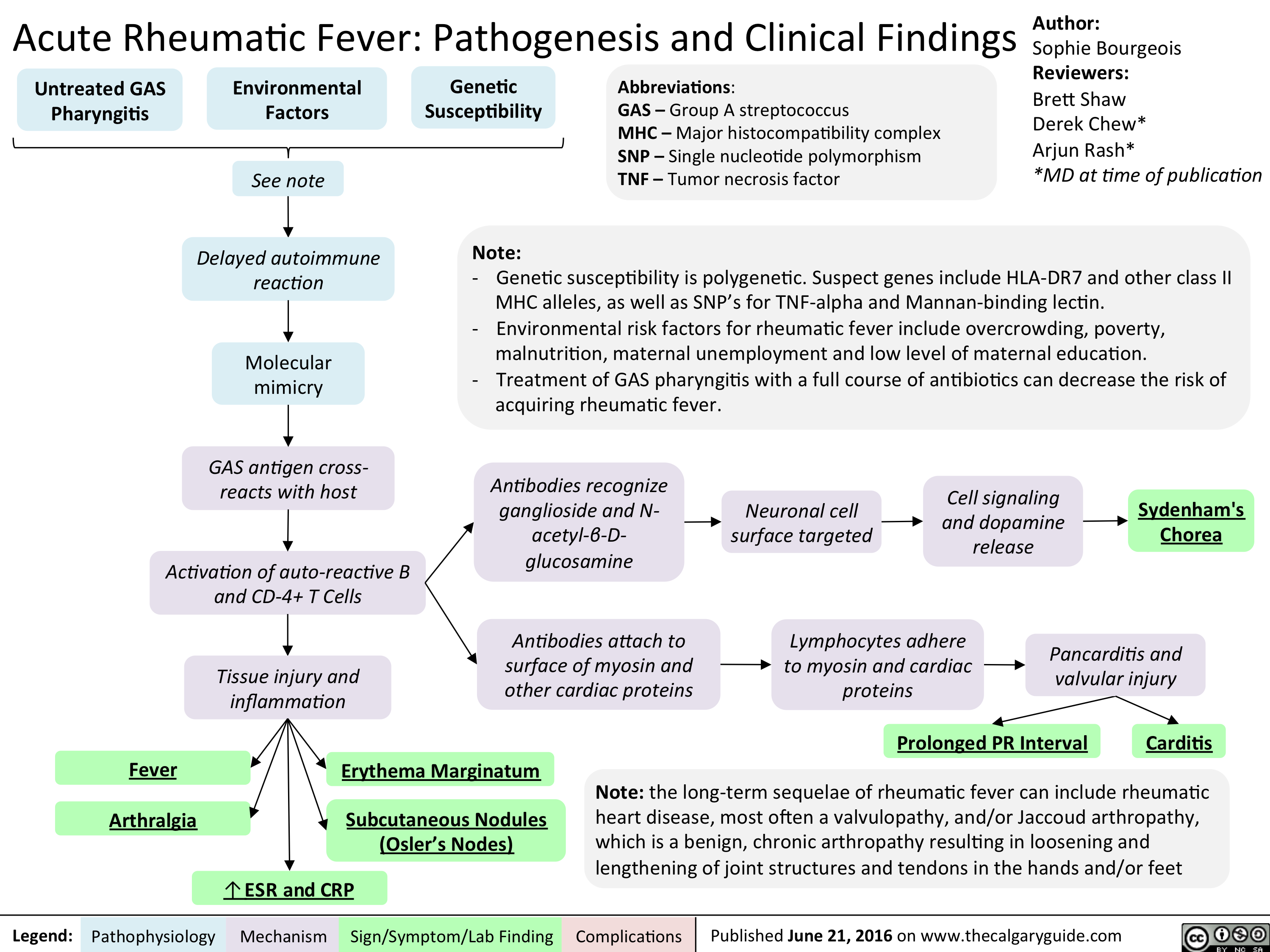 dengue fever pathophysiology Dengue pathogenesis clinical diagnosis lab manifestation treatment feature pathophysiology virus hemorrhagic shock cell body immune endothelial notes biology leak entering