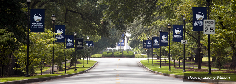 georgia southern university Georgia southern university